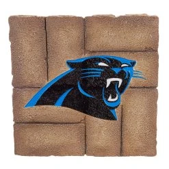 Evergreen Carolina Panthers Team Stepping Stone