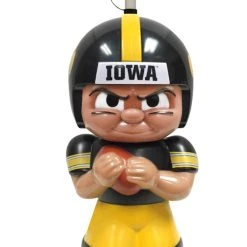Party Animal Iowa Hawkeyes Big Sip Water Bottle