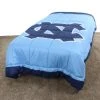 COLLEGE COVERS North Carolina Tar Heels 2 Sided TWIN Big Logo Light Comforter
